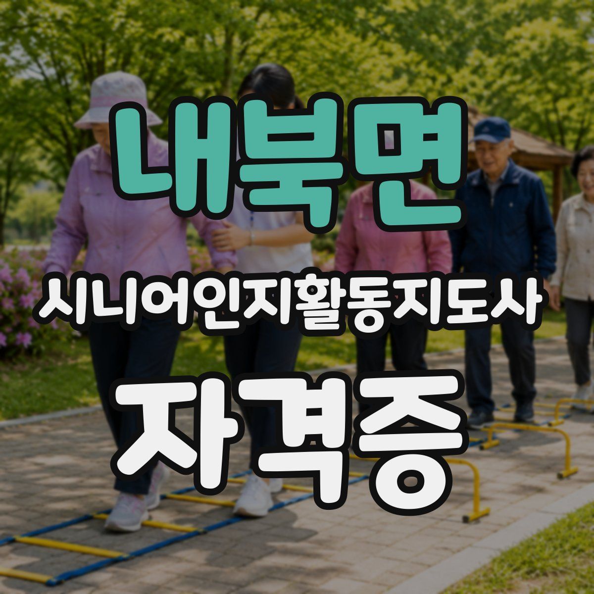 내북면 시니어인지활동지도사 자격증
