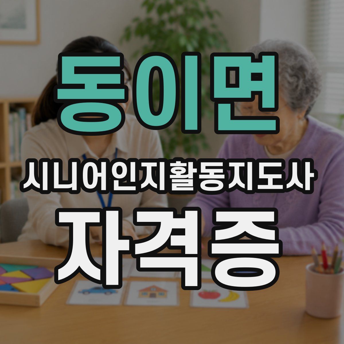 동이면 시니어인지활동지도사 자격증