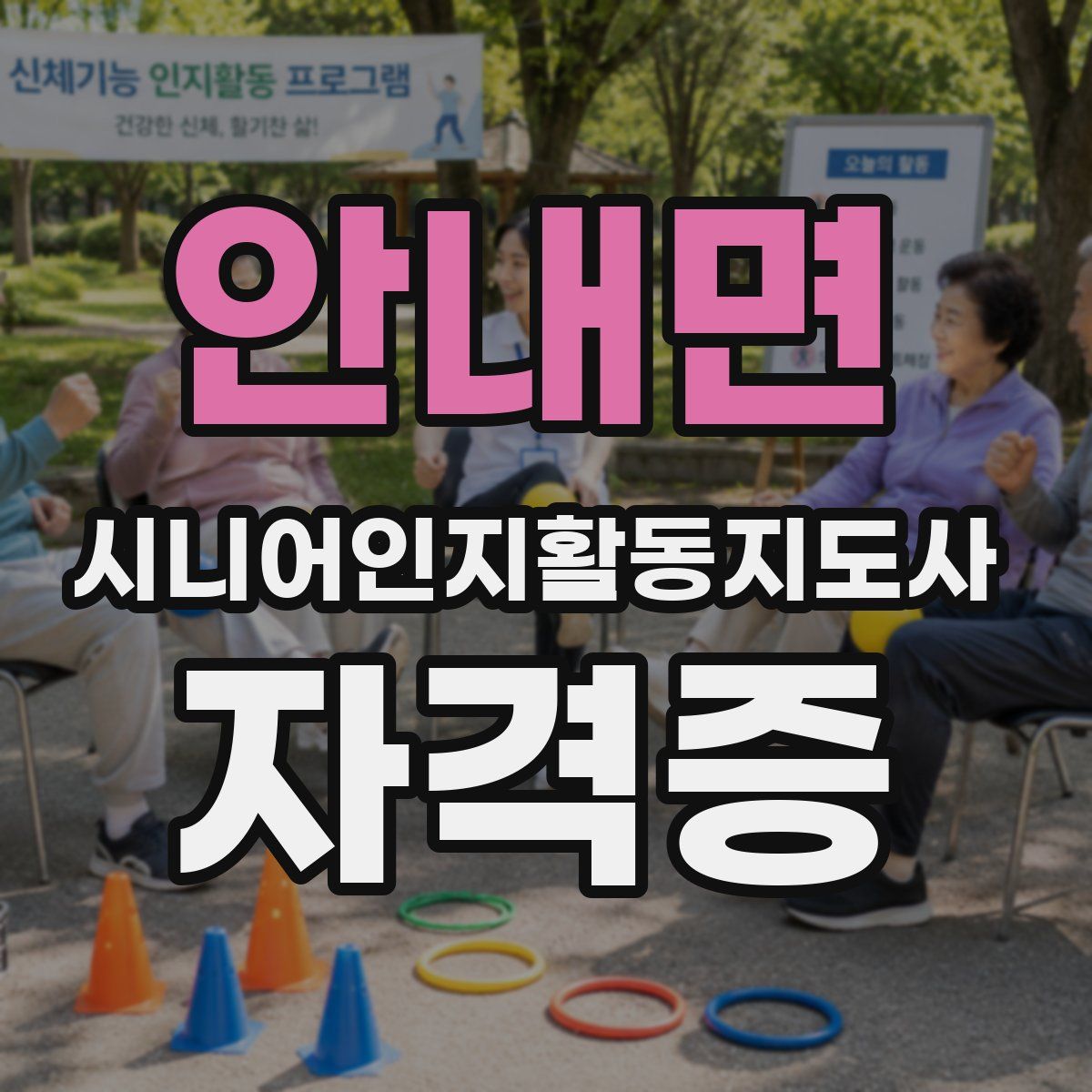 안내면 시니어인지활동지도사 자격증