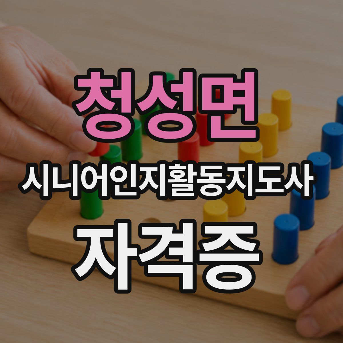청성면 시니어인지활동지도사 자격증