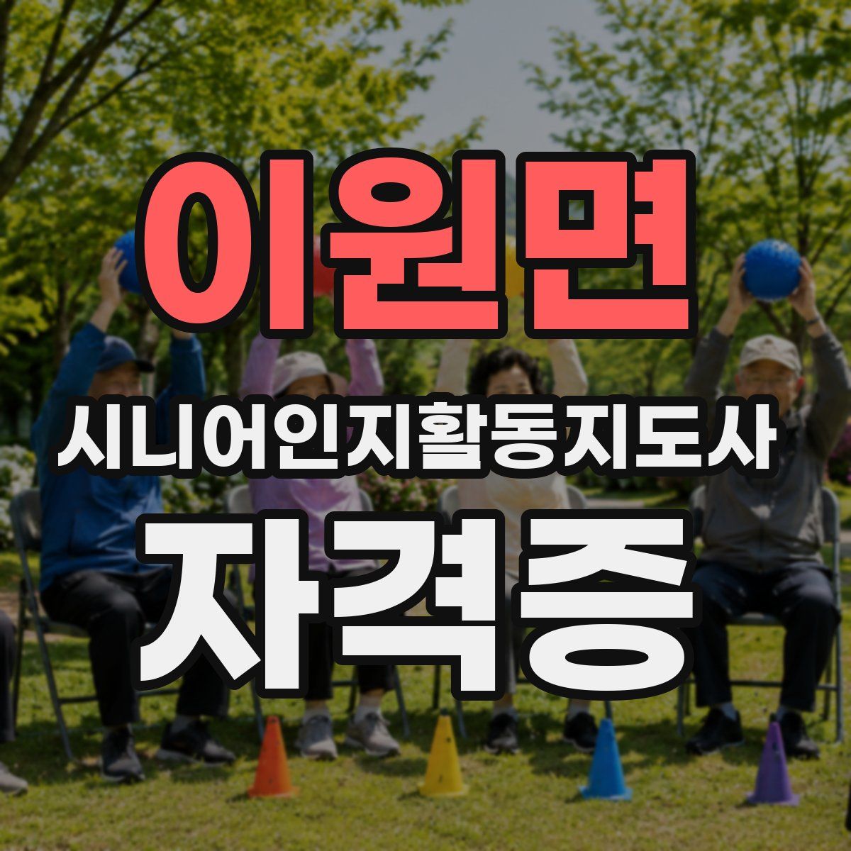 이원면 시니어인지활동지도사 자격증