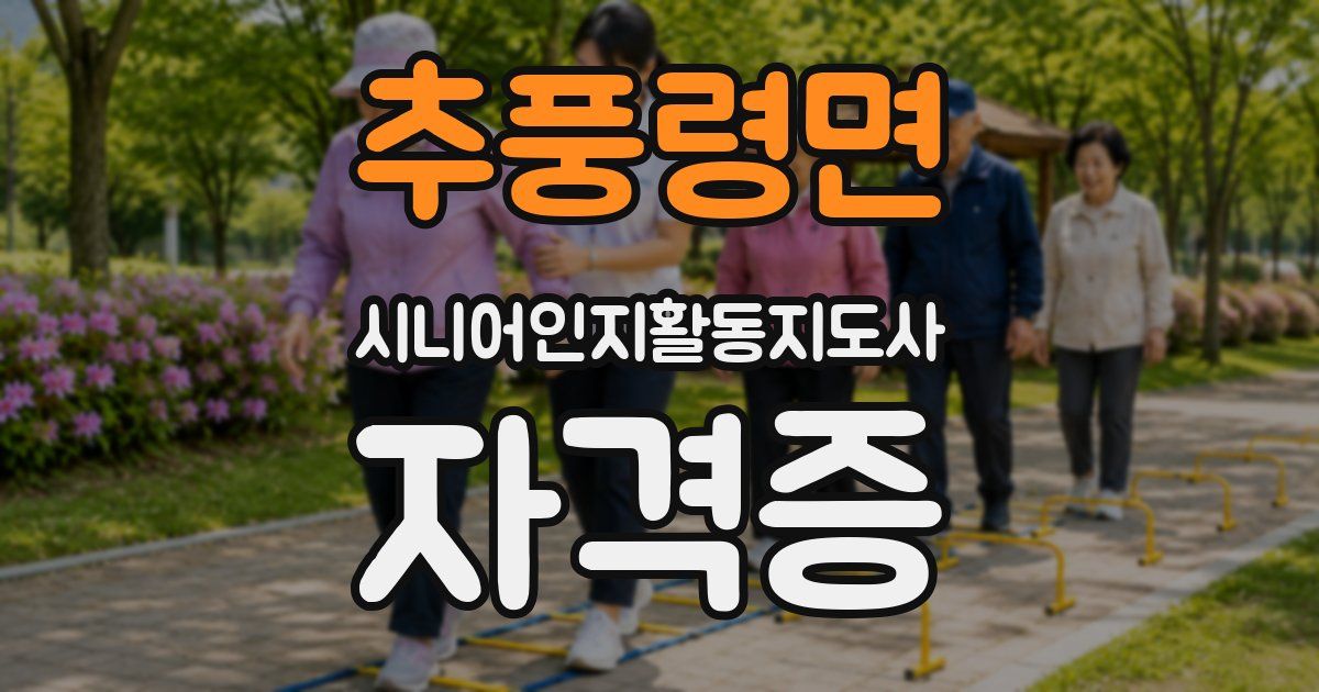 추풍령면 시니어인지활동지도사 자격증