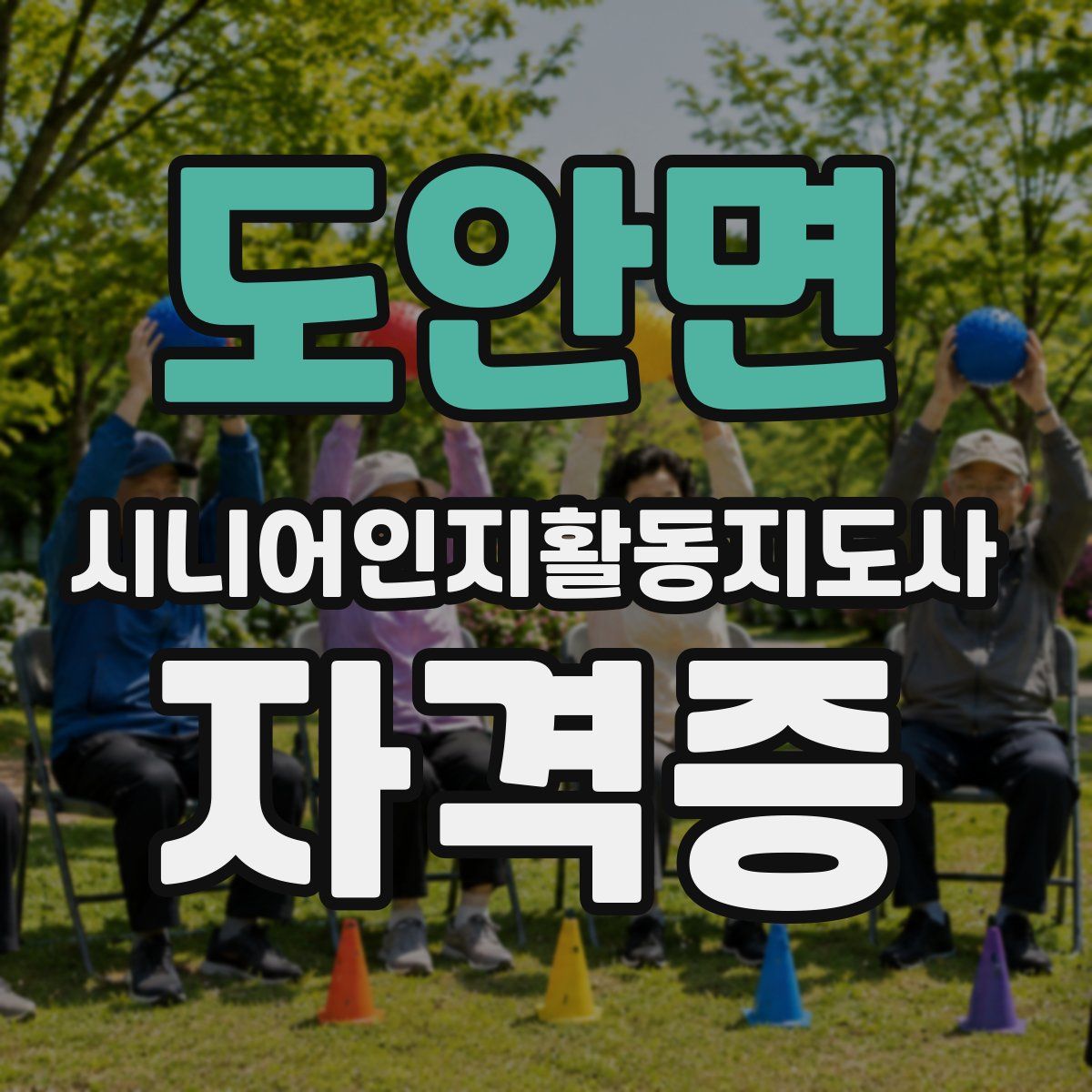 도안면 시니어인지활동지도사 자격증