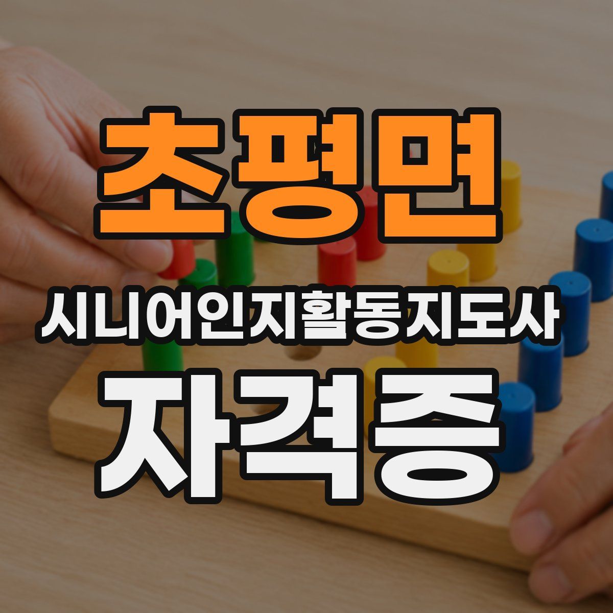 초평면 시니어인지활동지도사 자격증