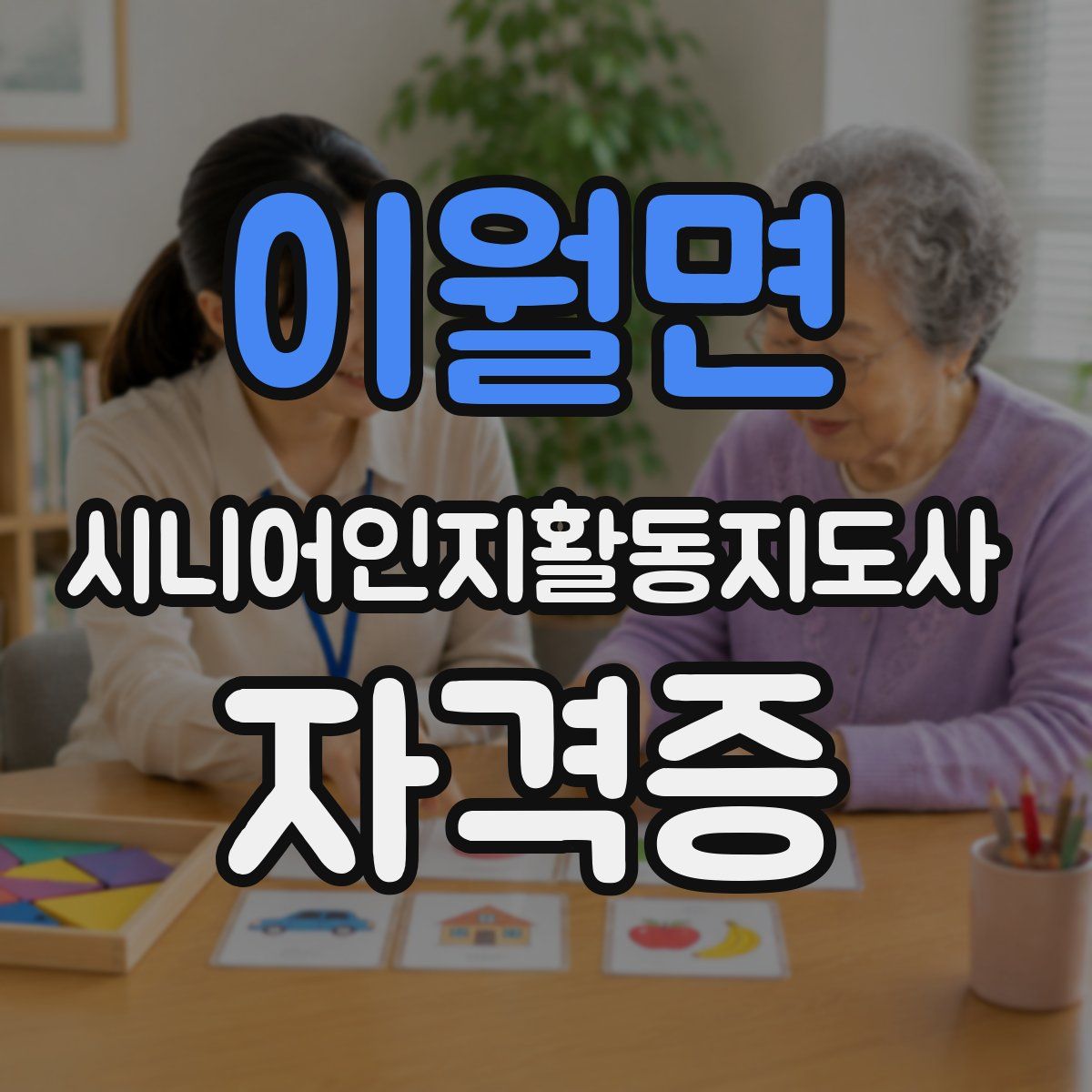 이월면 시니어인지활동지도사 자격증