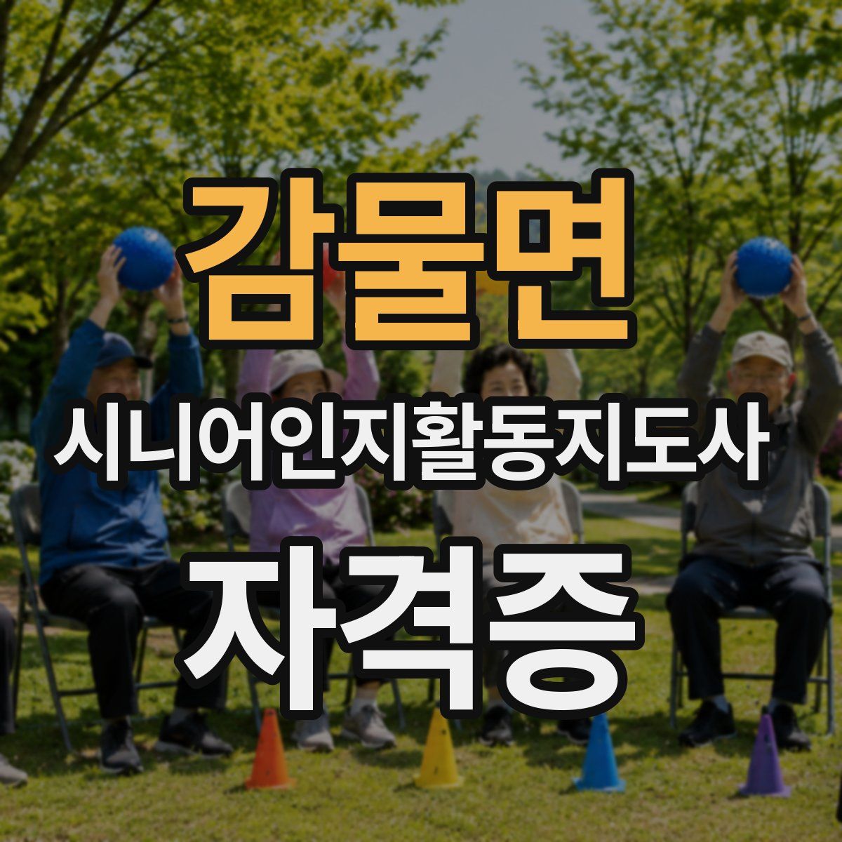 감물면 시니어인지활동지도사 자격증
