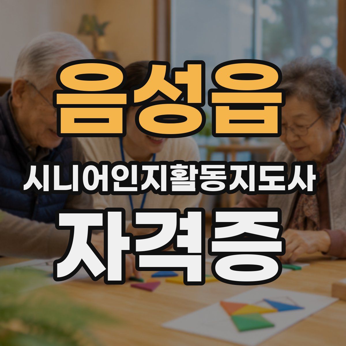 음성읍 시니어인지활동지도사 자격증