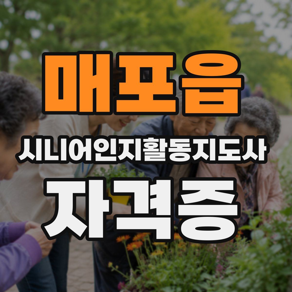 매포읍 시니어인지활동지도사 자격증