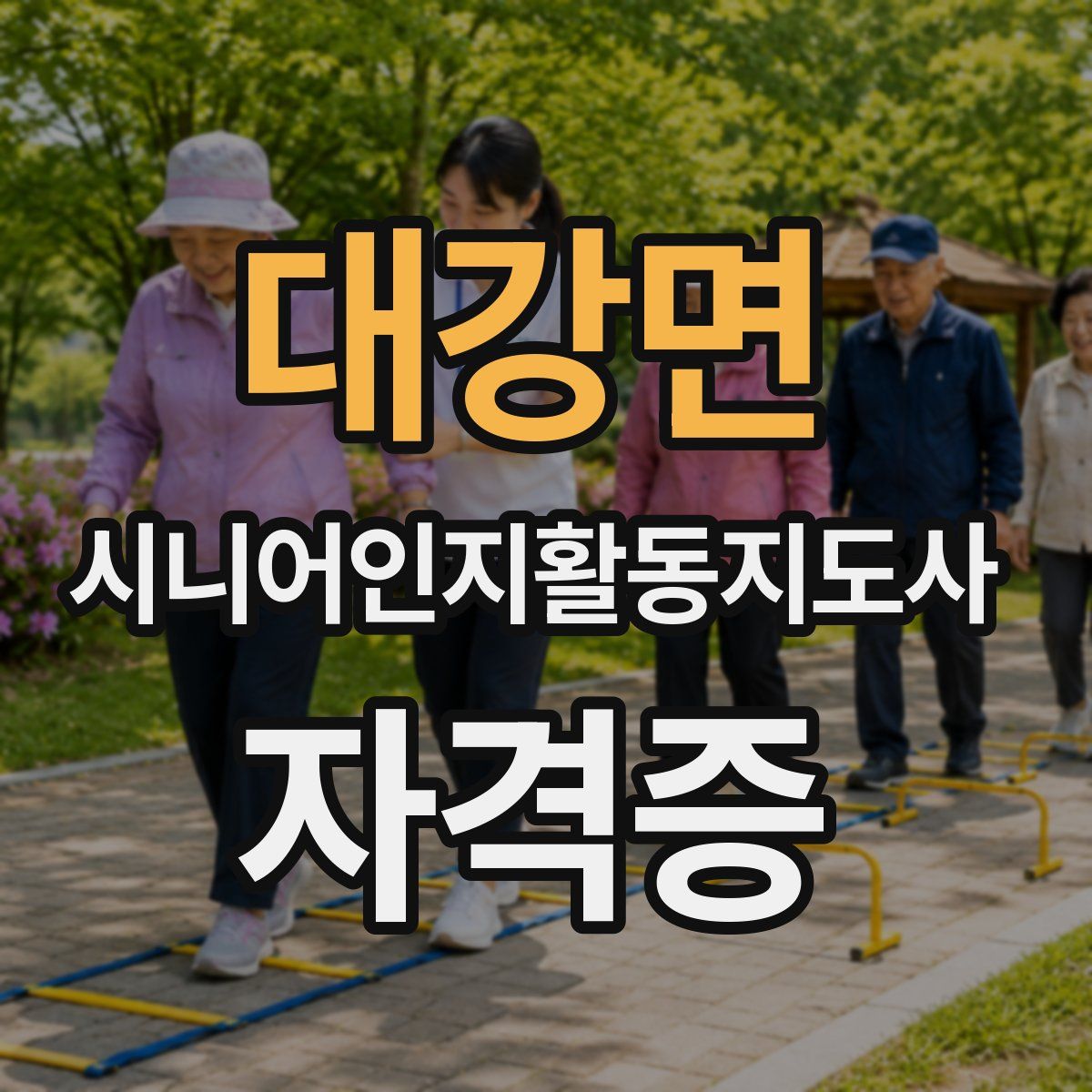 대강면 시니어인지활동지도사 자격증