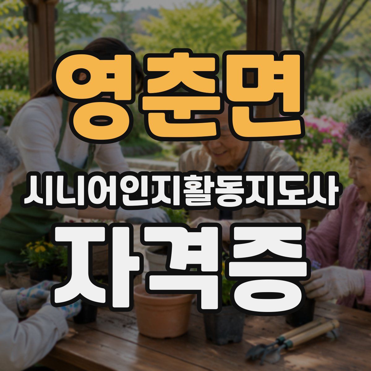 영춘면 시니어인지활동지도사 자격증