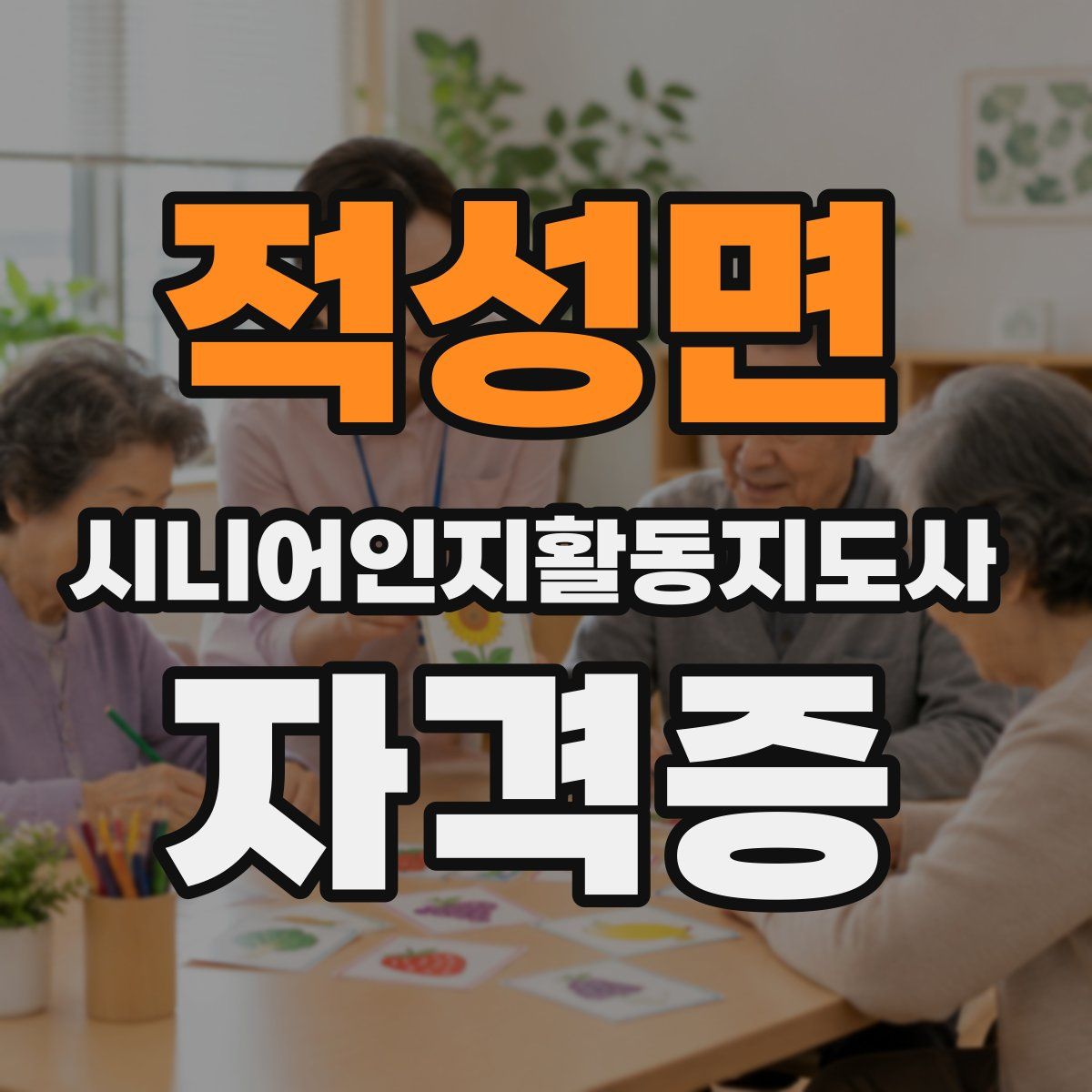 적성면 시니어인지활동지도사 자격증