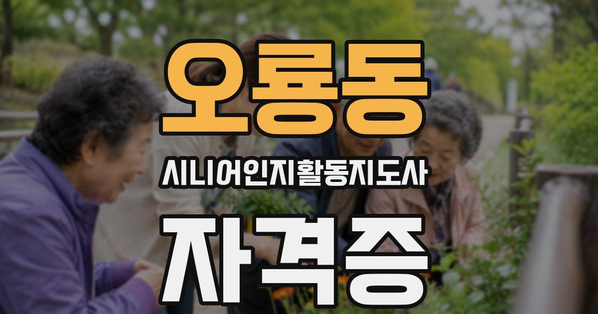 오룡동 시니어인지활동지도사 자격증