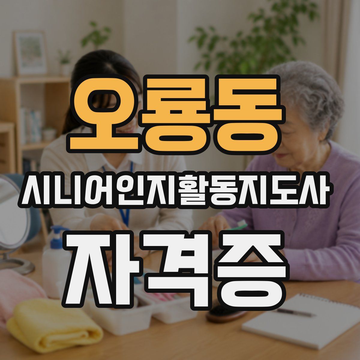 오룡동 시니어인지활동지도사 자격증