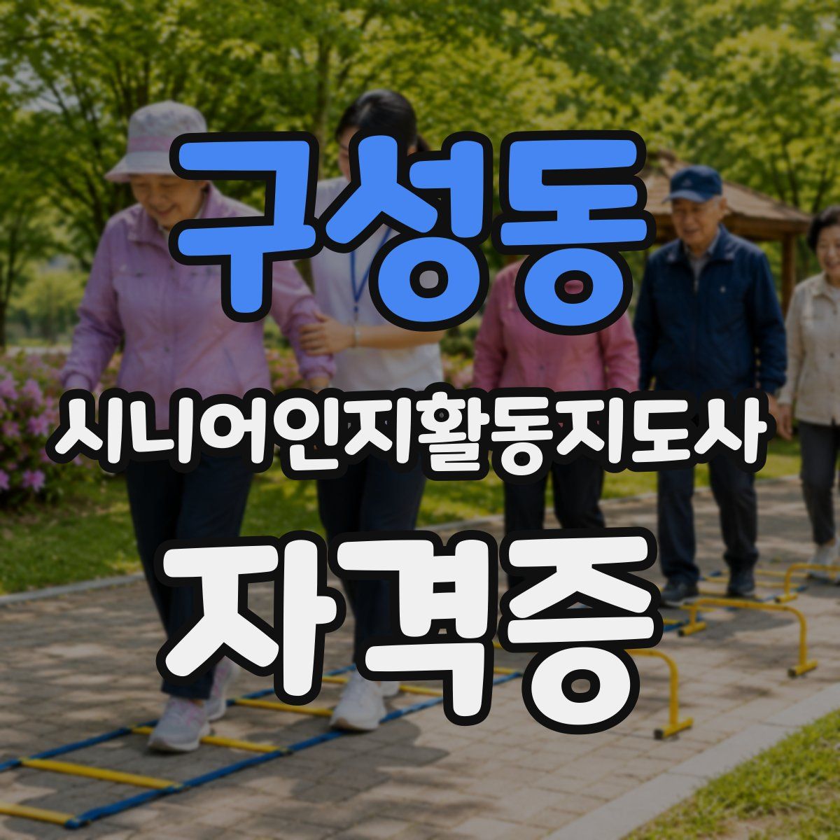 구성동 시니어인지활동지도사 자격증