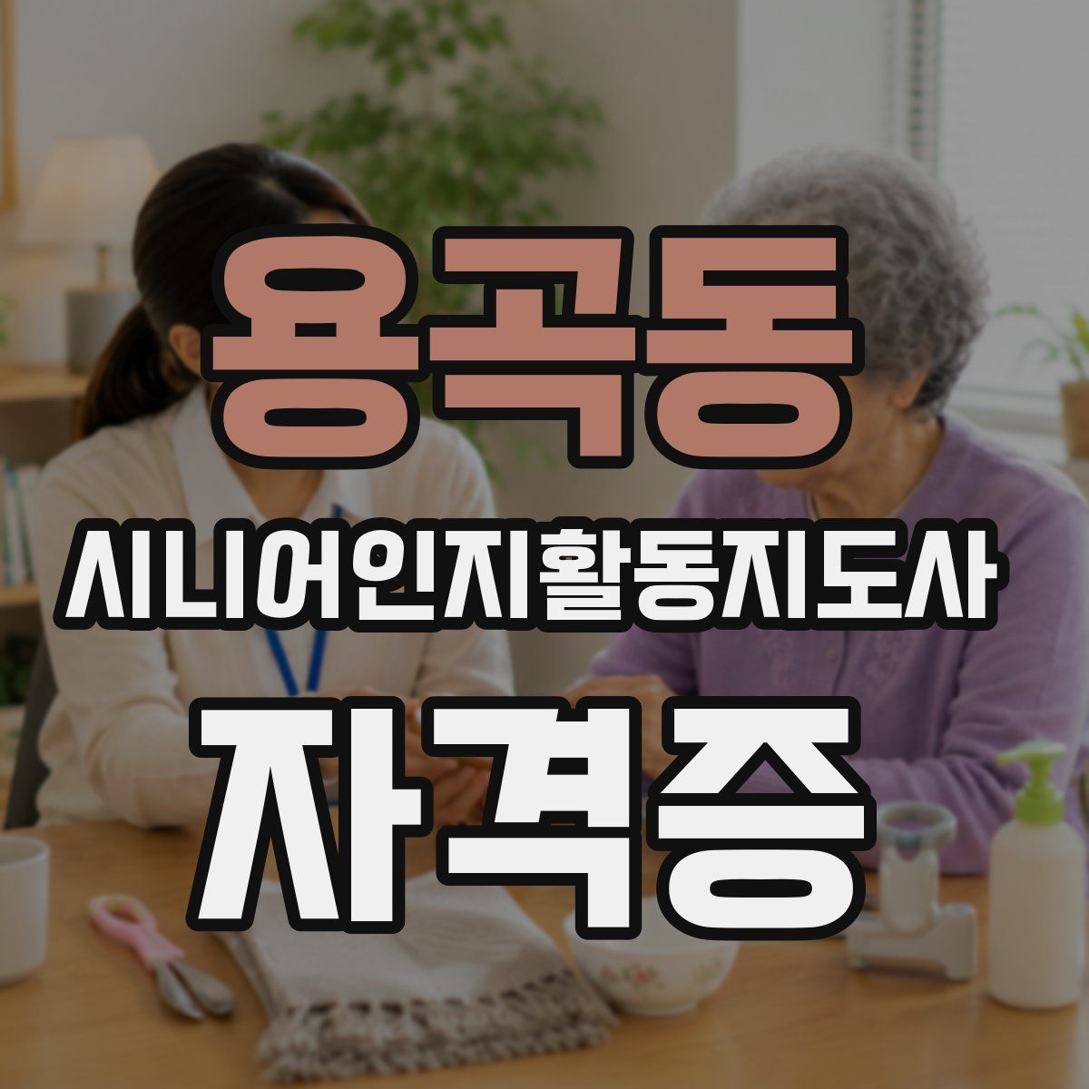 용곡동 시니어인지활동지도사 자격증