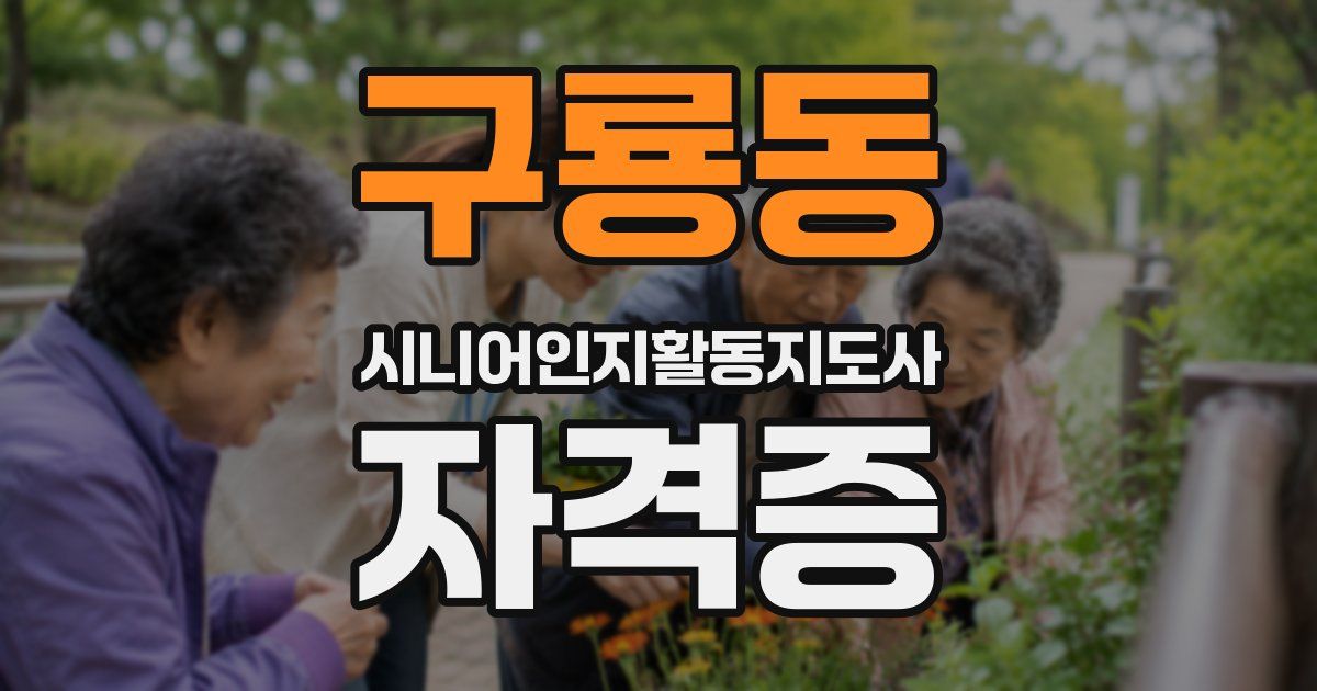구룡동 시니어인지활동지도사 자격증