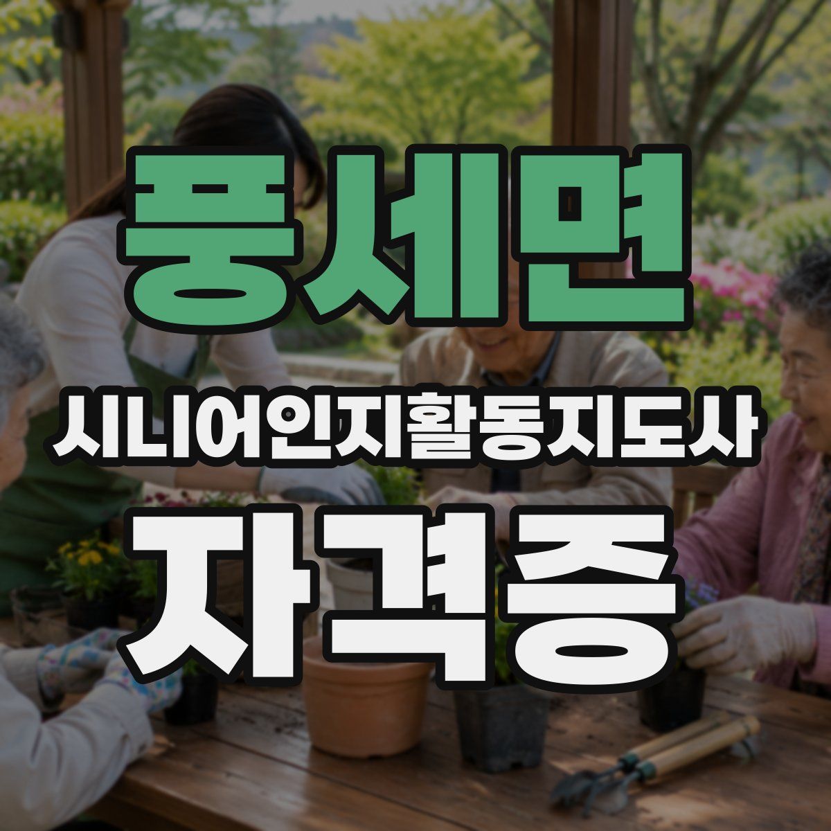 풍세면 시니어인지활동지도사 자격증