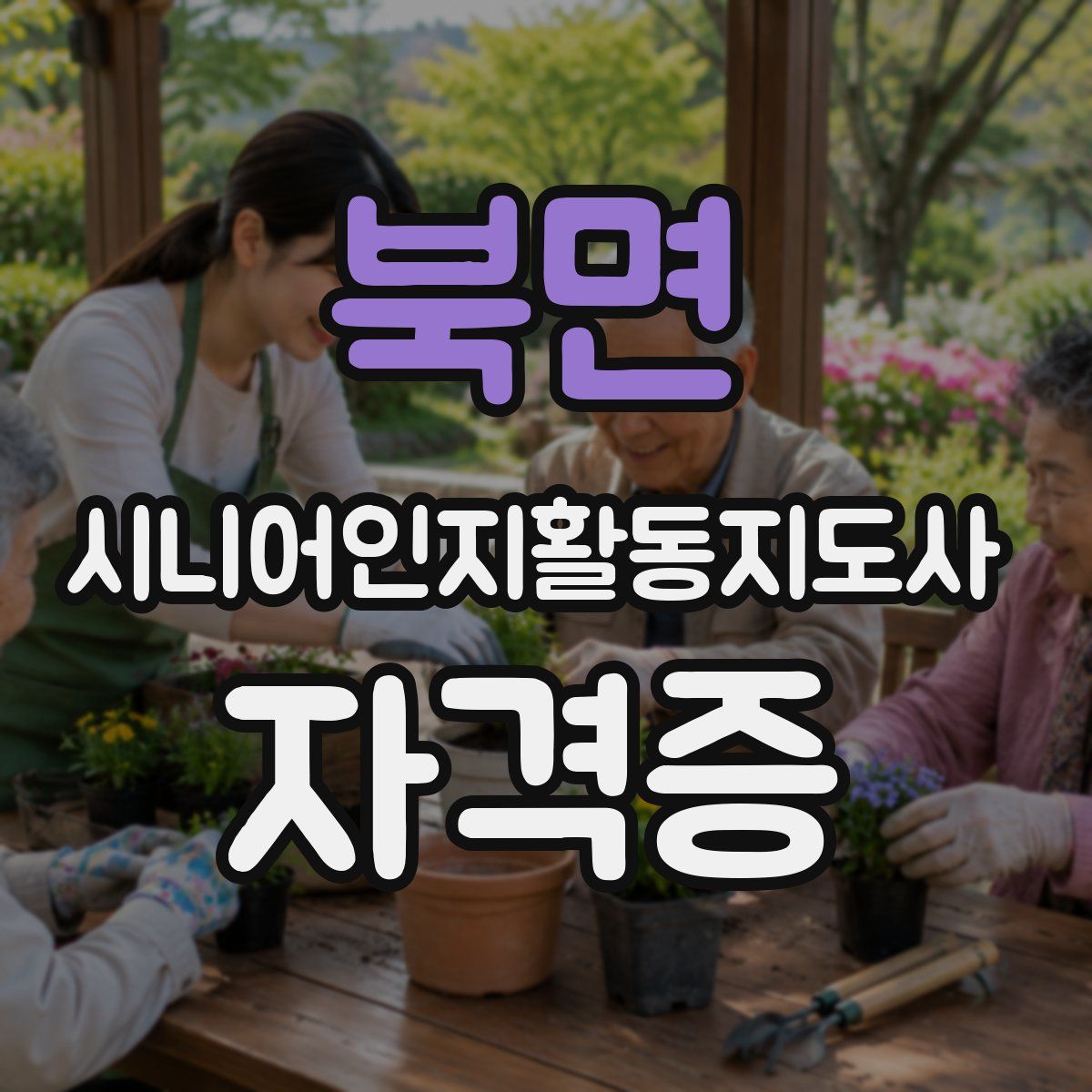 북면 시니어인지활동지도사 자격증