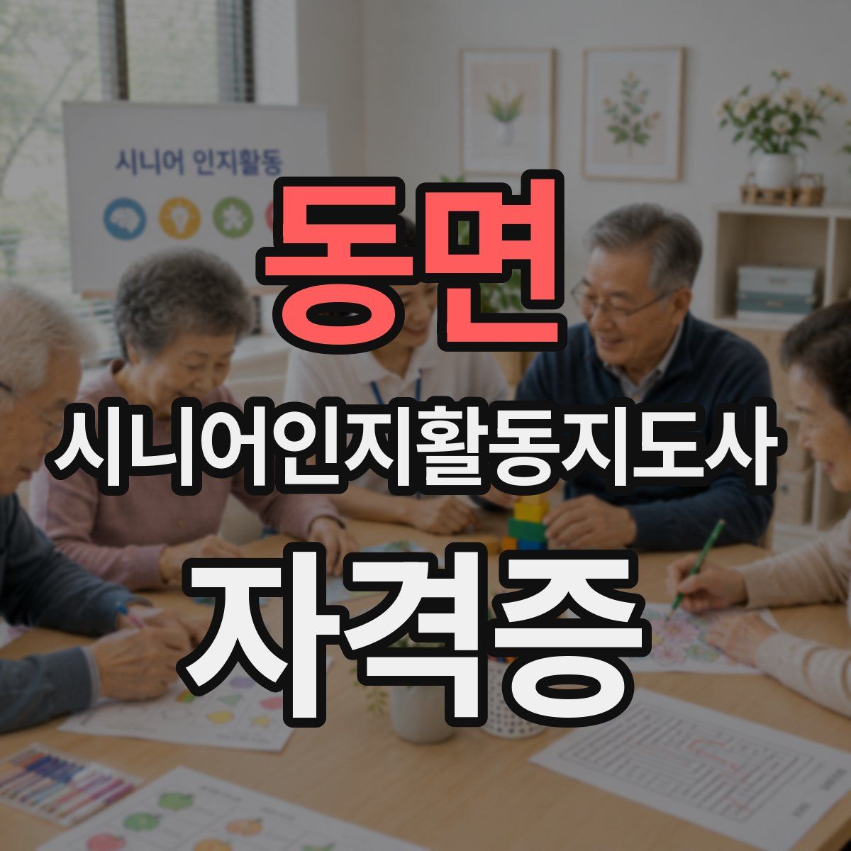 동면 시니어인지활동지도사 자격증