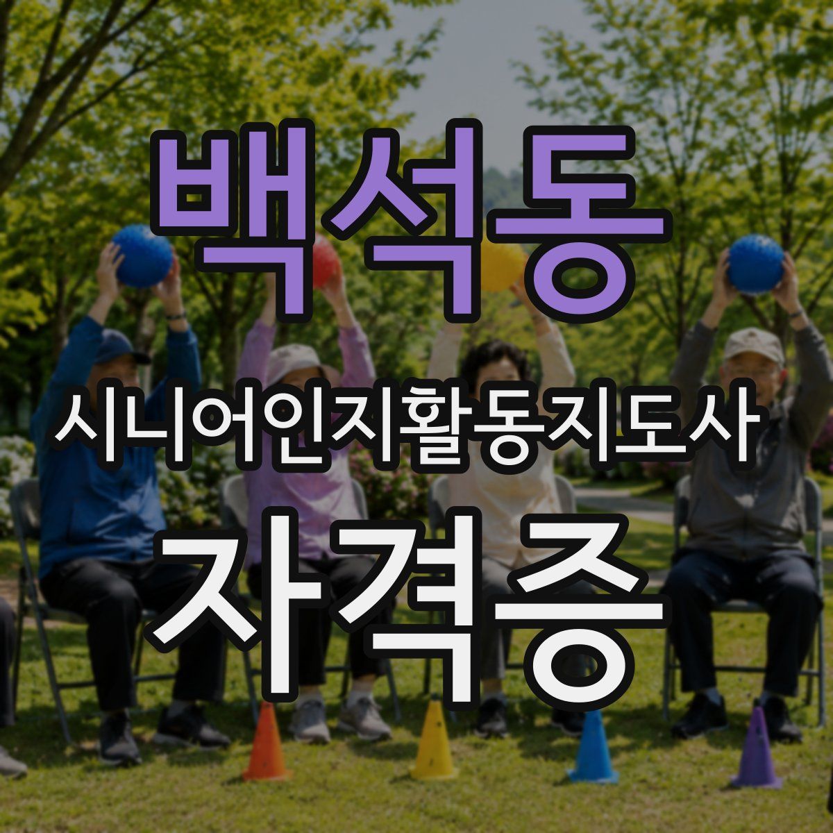 백석동 시니어인지활동지도사 자격증