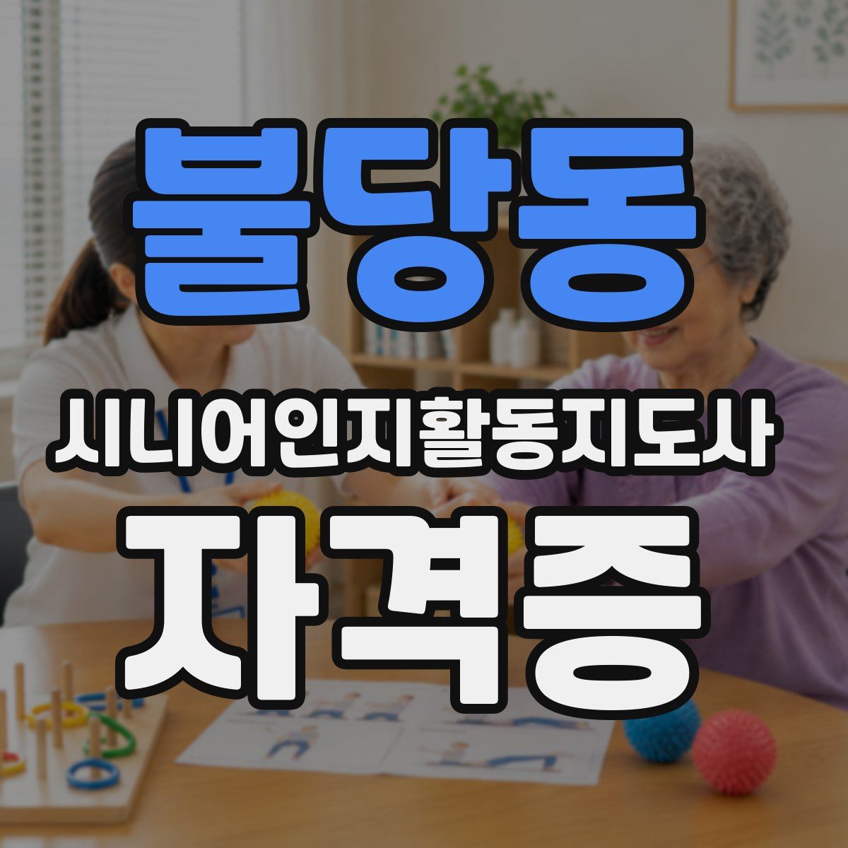 불당동 시니어인지활동지도사 자격증