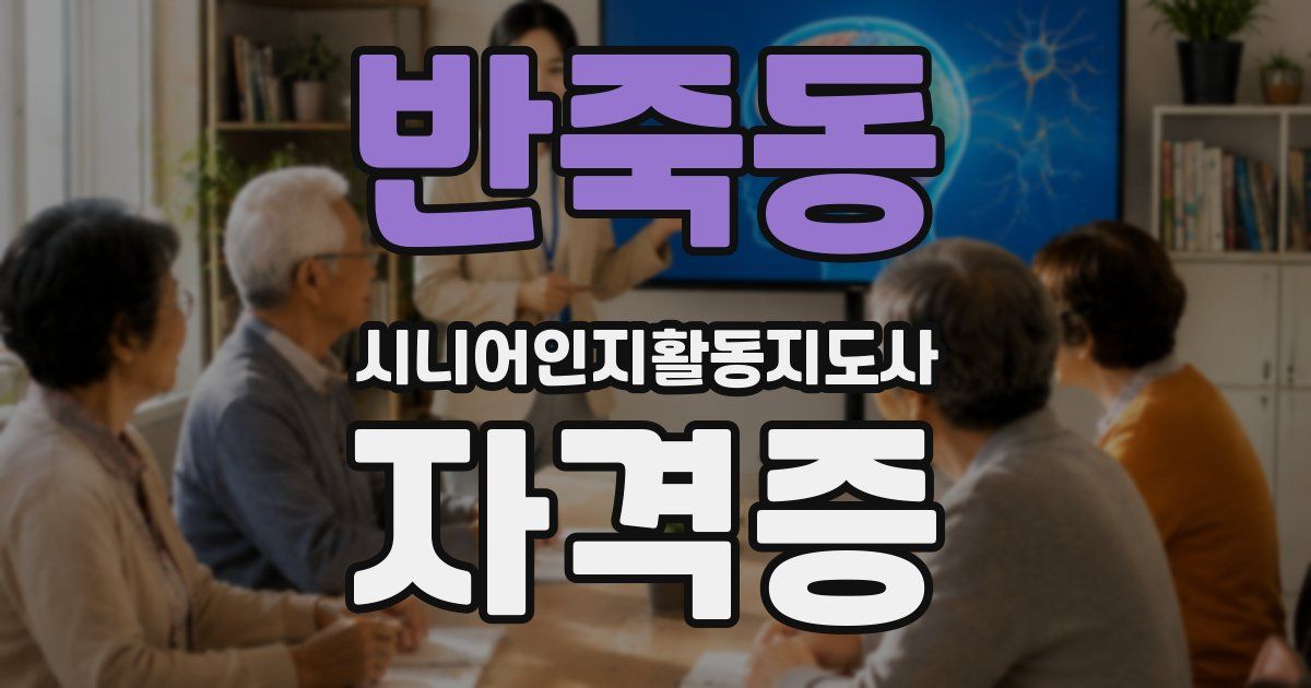 반죽동 시니어인지활동지도사 자격증