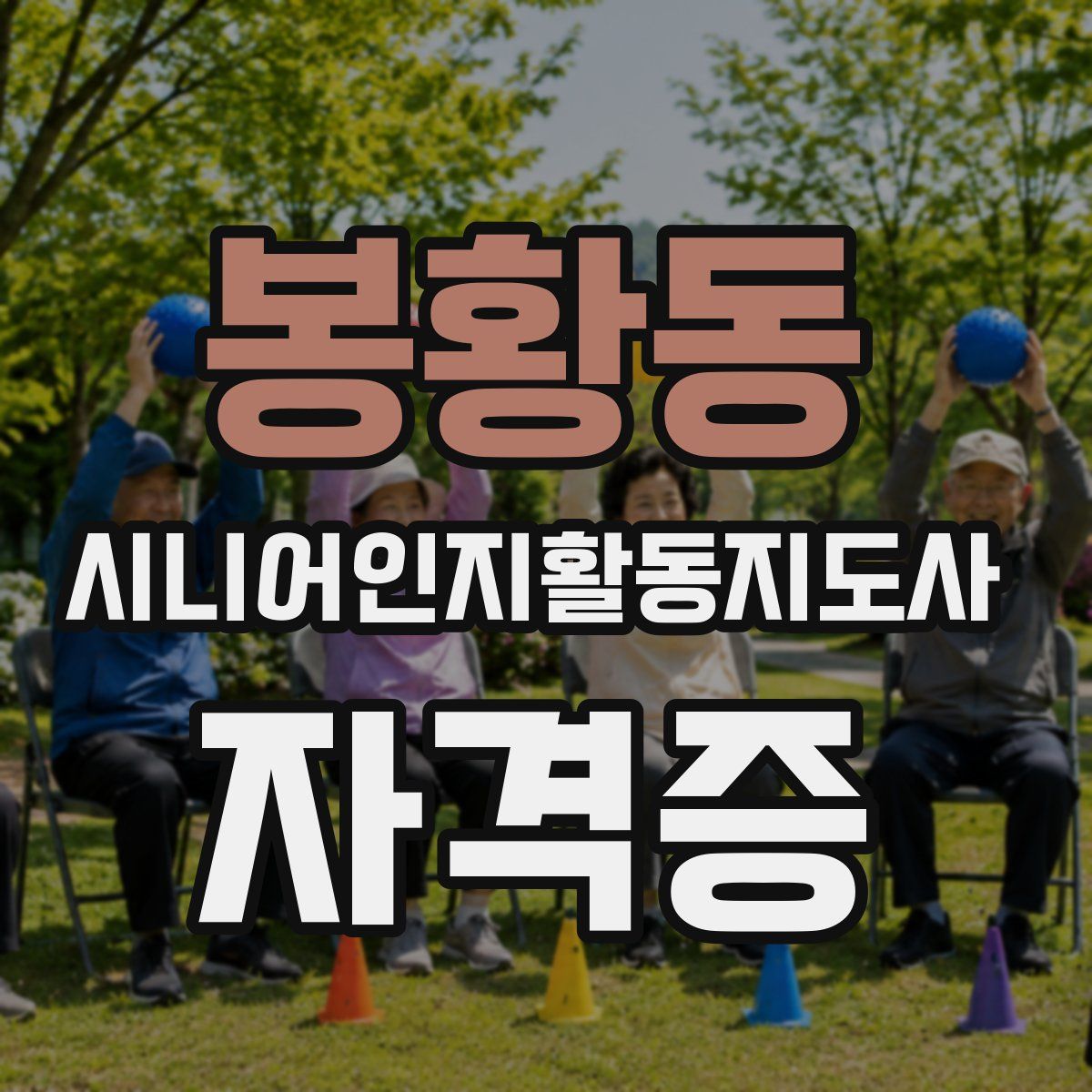 봉황동 시니어인지활동지도사 자격증