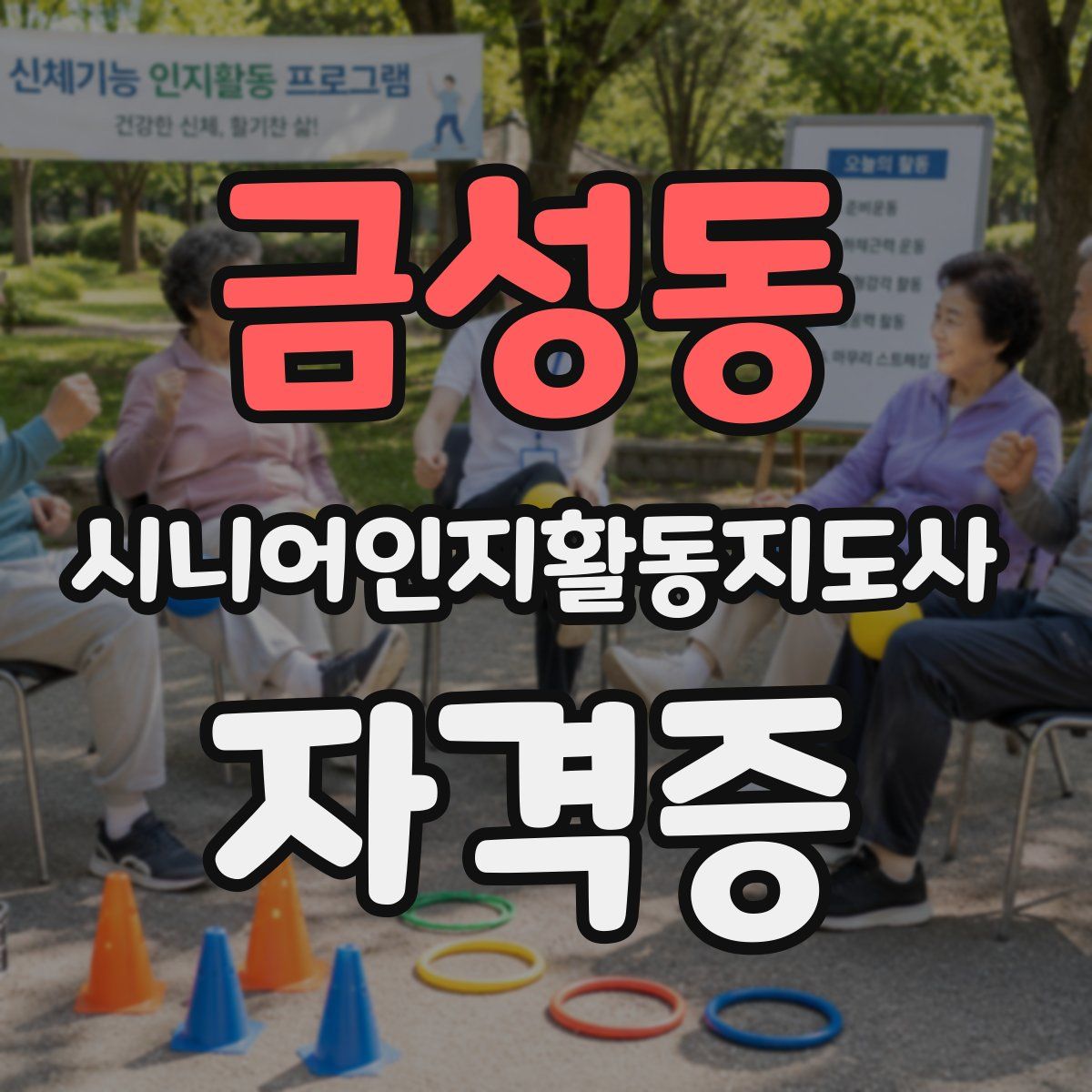 금성동 시니어인지활동지도사 자격증