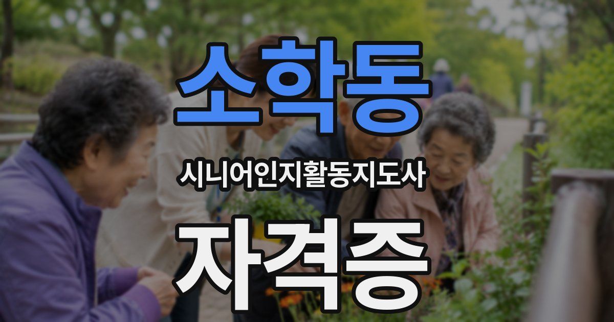 소학동 시니어인지활동지도사 자격증