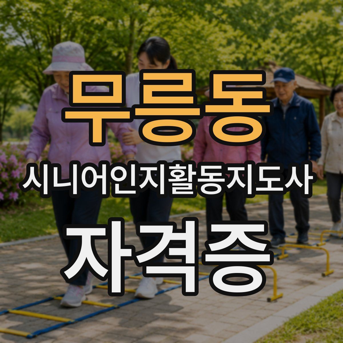 무릉동 시니어인지활동지도사 자격증