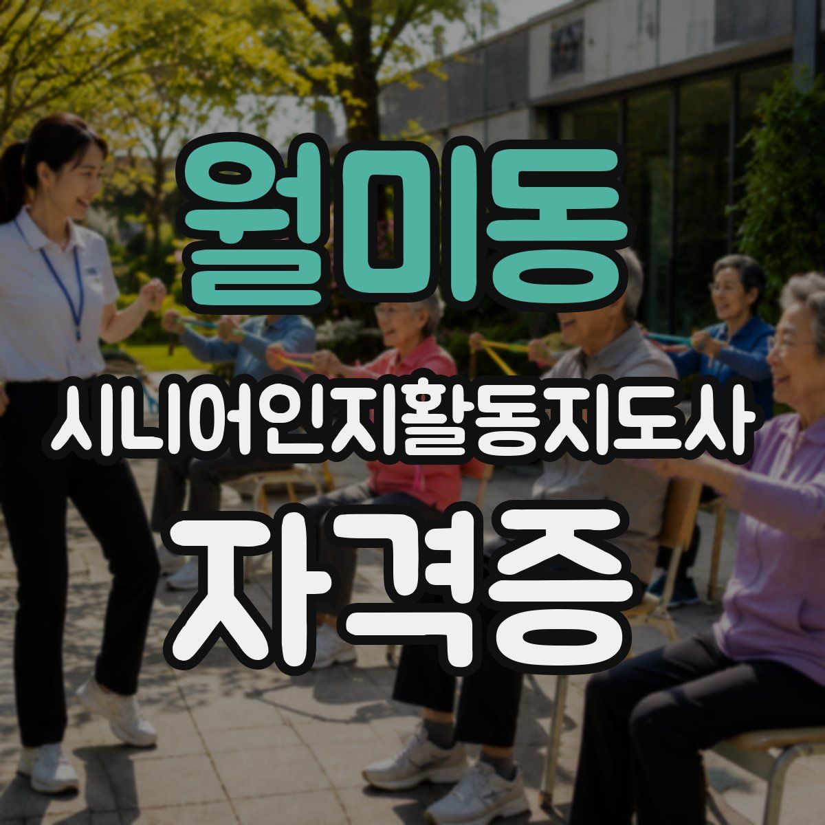 월미동 시니어인지활동지도사 자격증