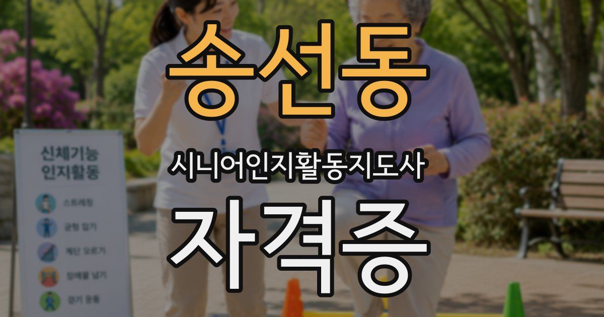 송선동 시니어인지활동지도사 자격증