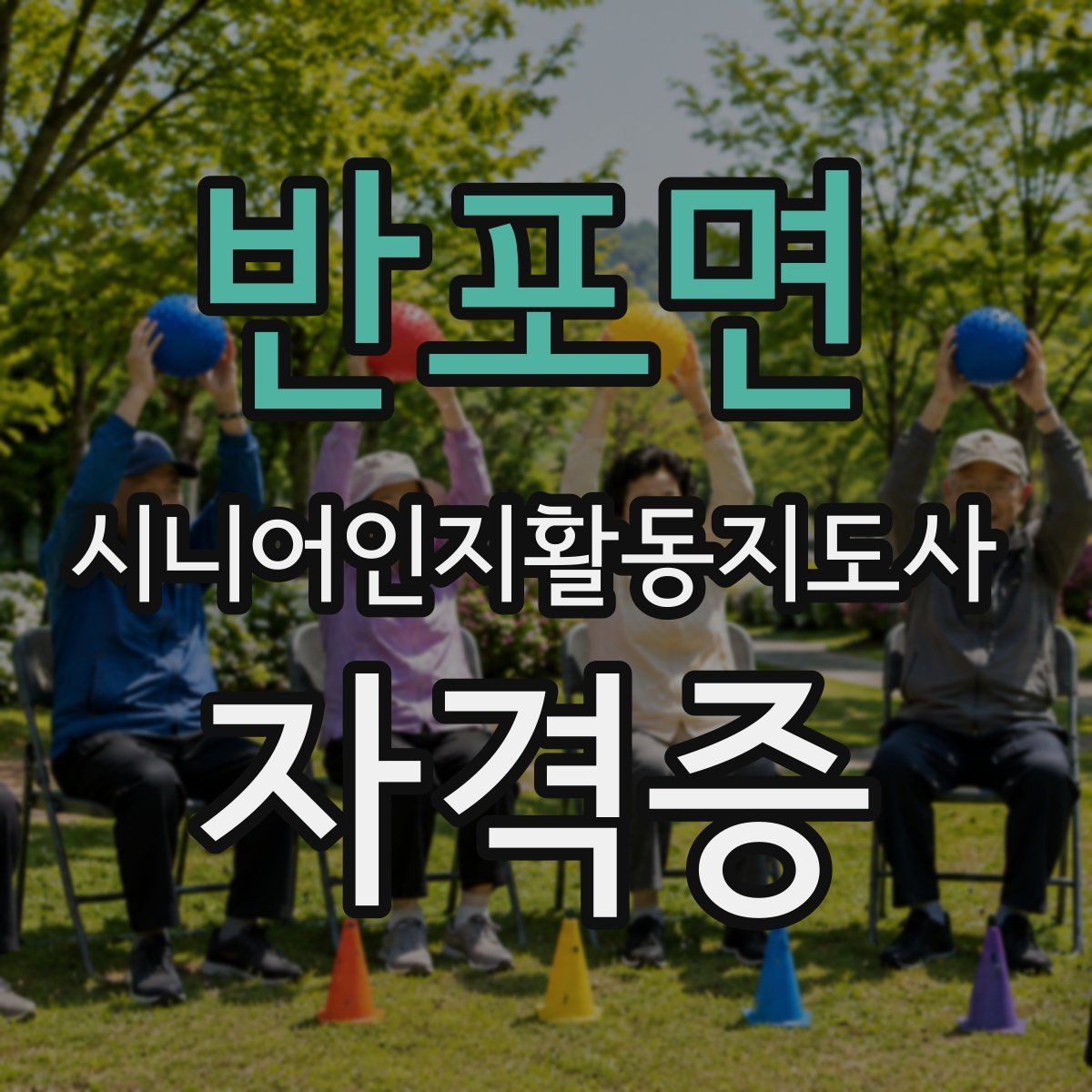 반포면 시니어인지활동지도사 자격증