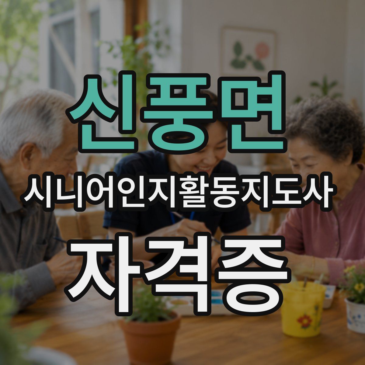 신풍면 시니어인지활동지도사 자격증