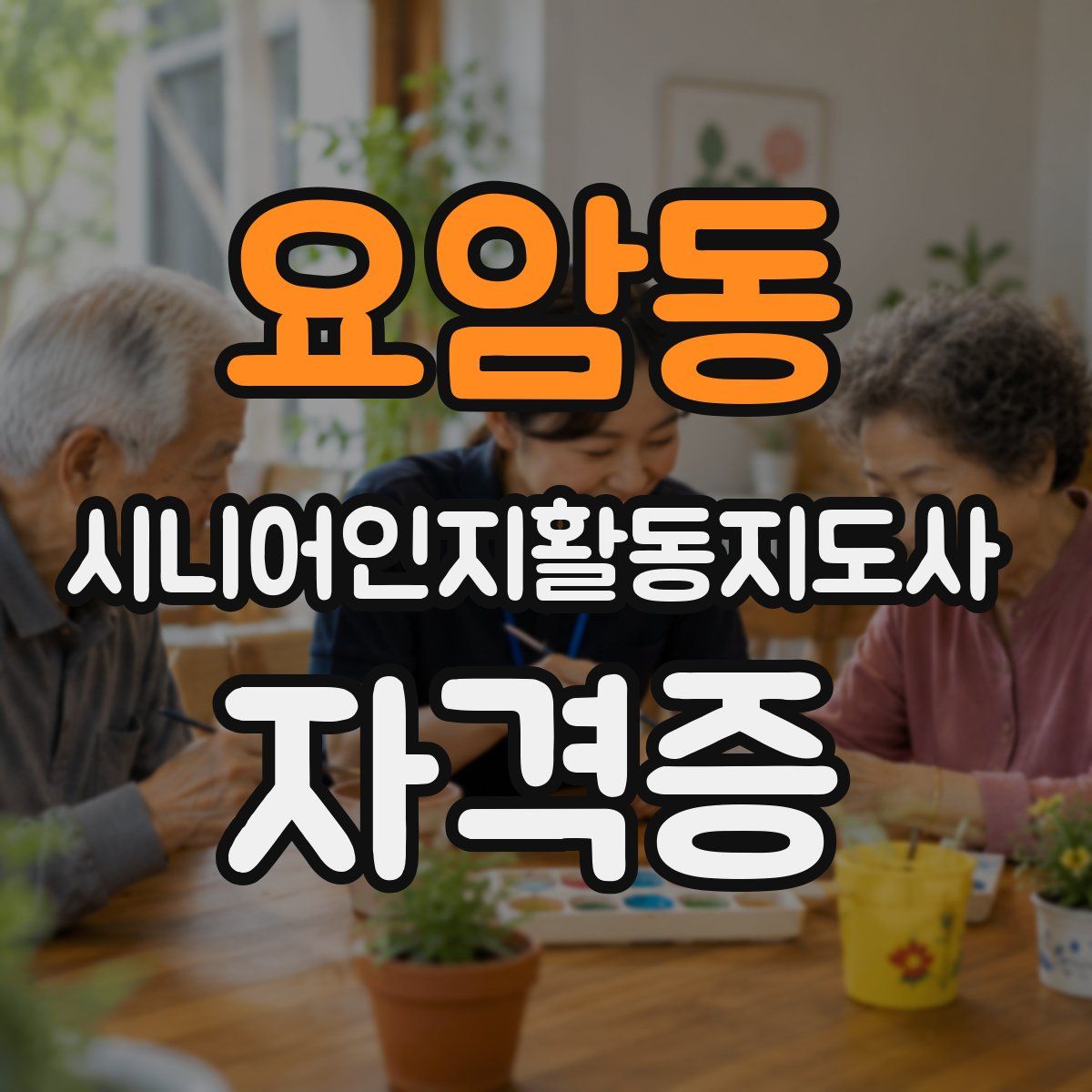 요암동 시니어인지활동지도사 자격증