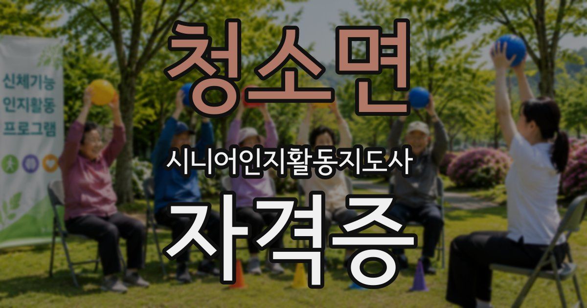청소면 시니어인지활동지도사 자격증