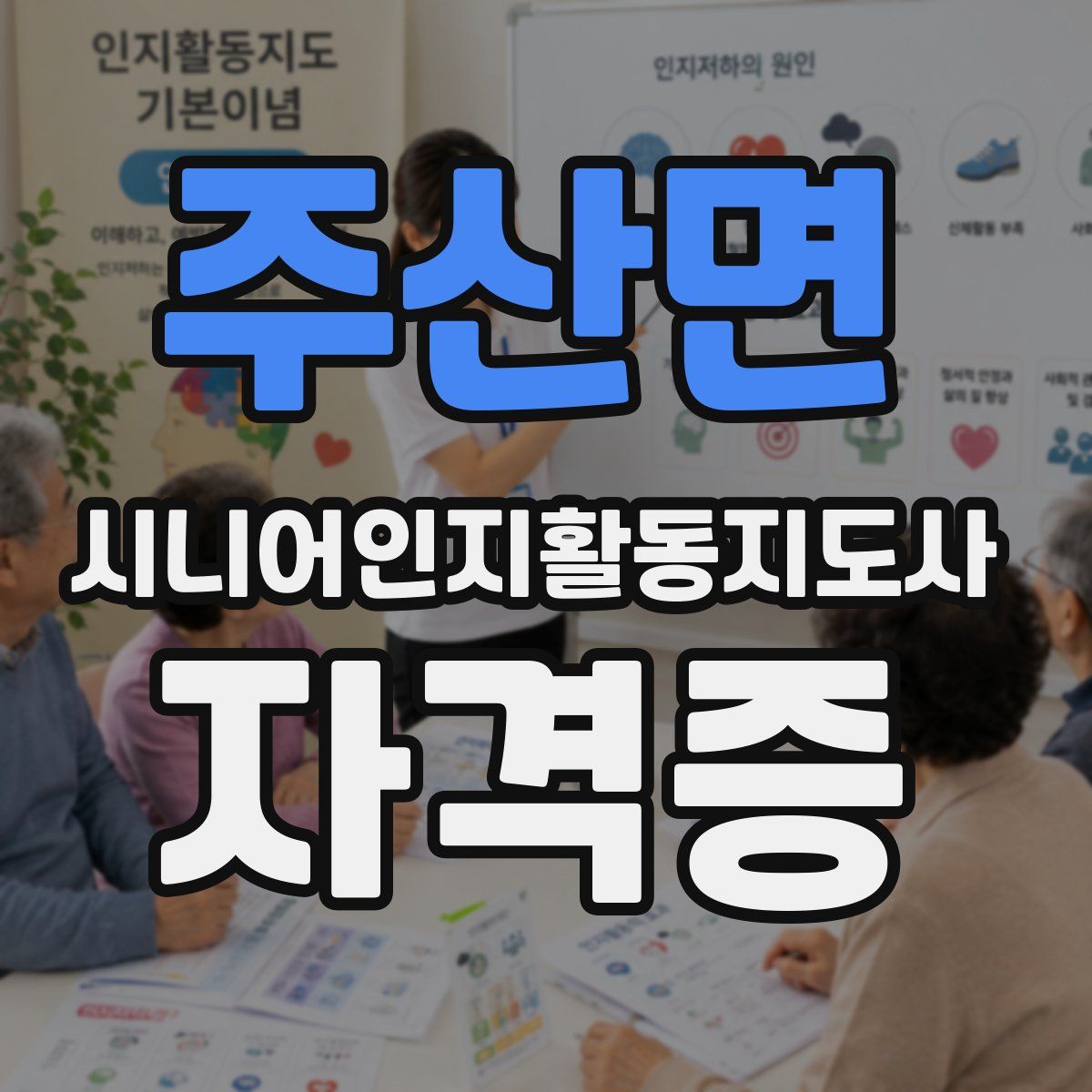 주산면 시니어인지활동지도사 자격증