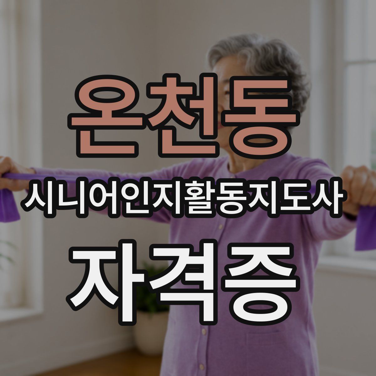 온천동 시니어인지활동지도사 자격증