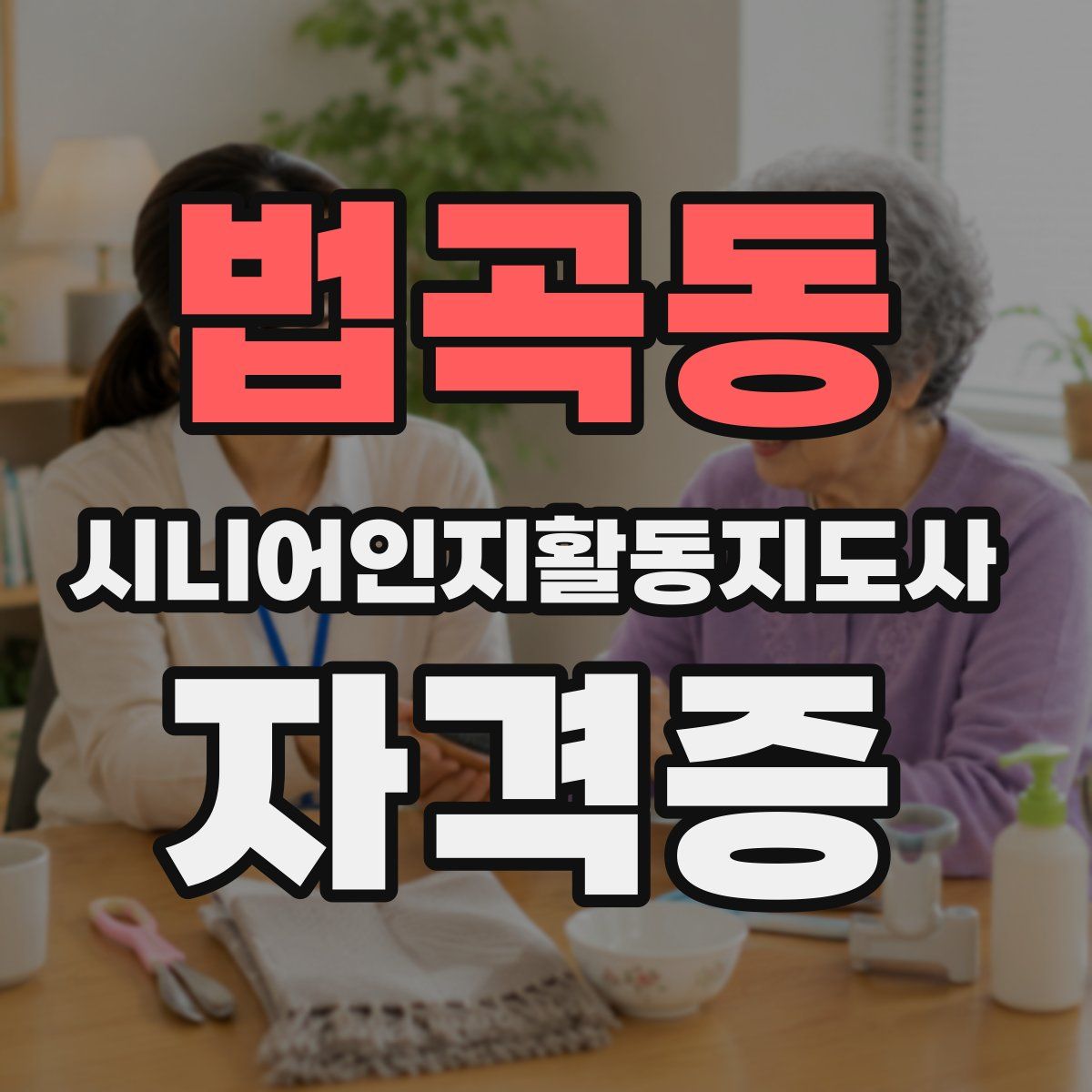 법곡동 시니어인지활동지도사 자격증