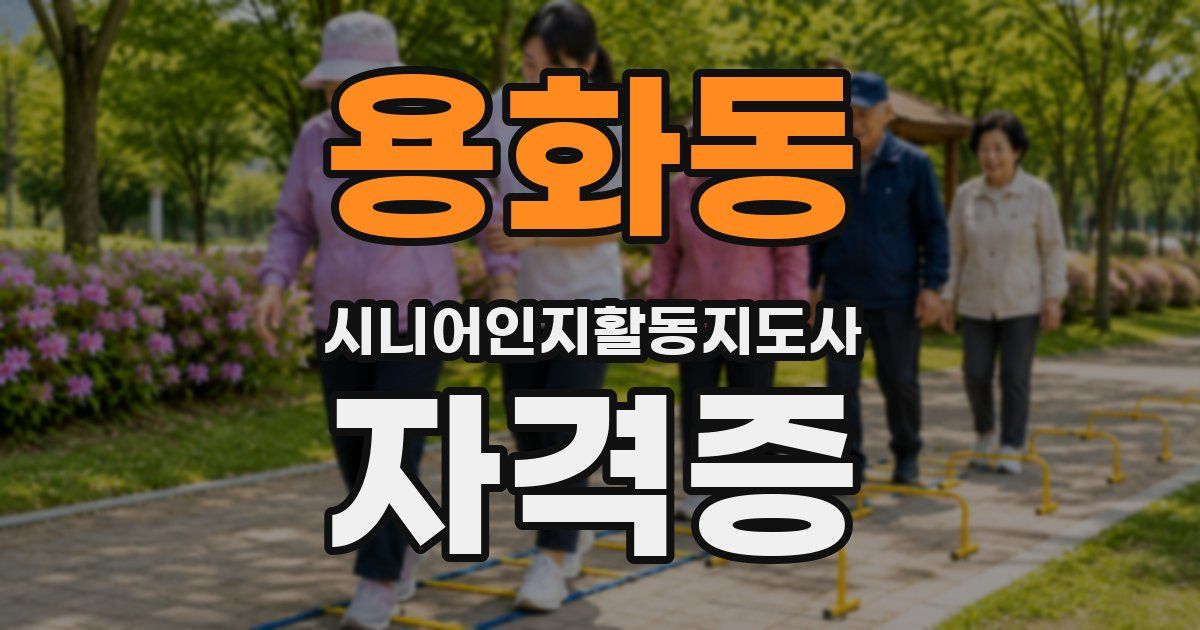용화동 시니어인지활동지도사 자격증