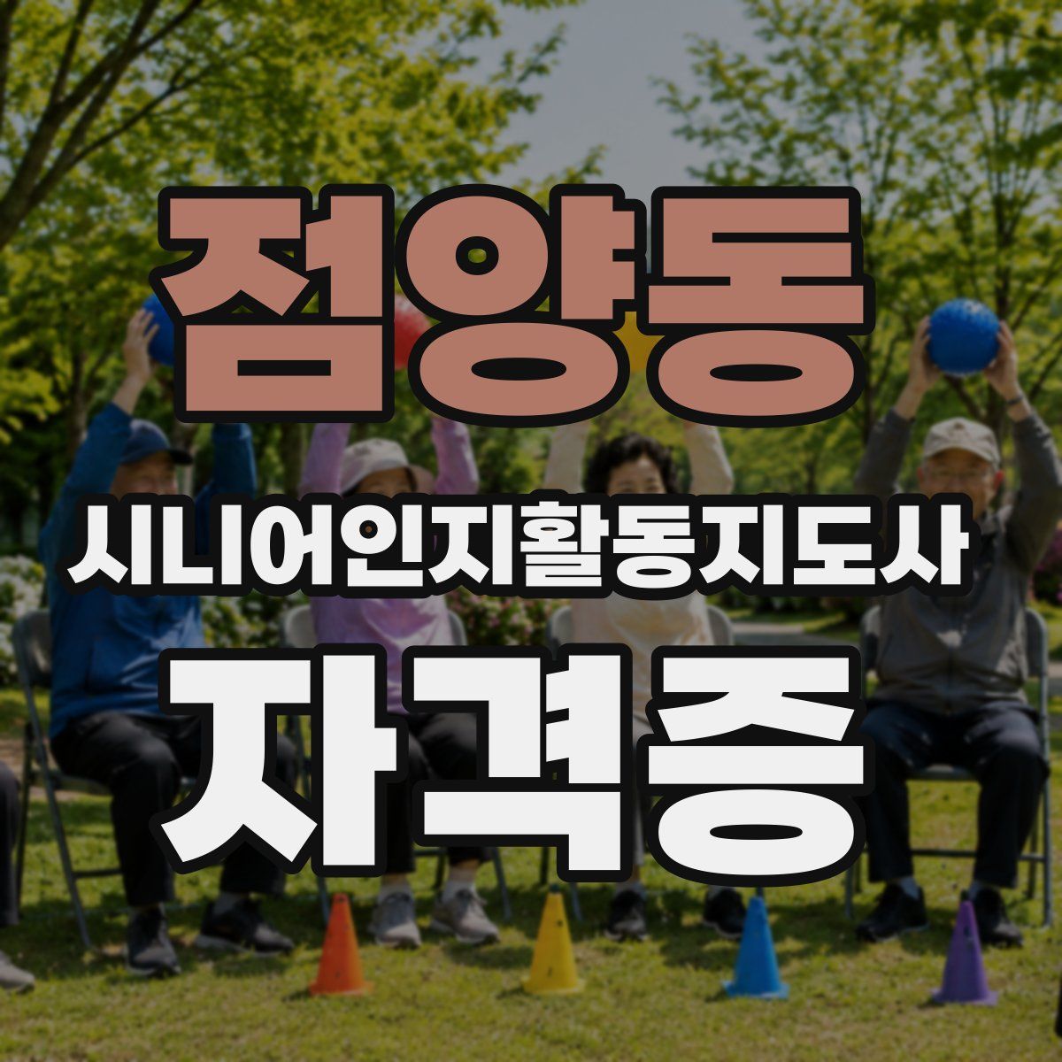 점양동 시니어인지활동지도사 자격증