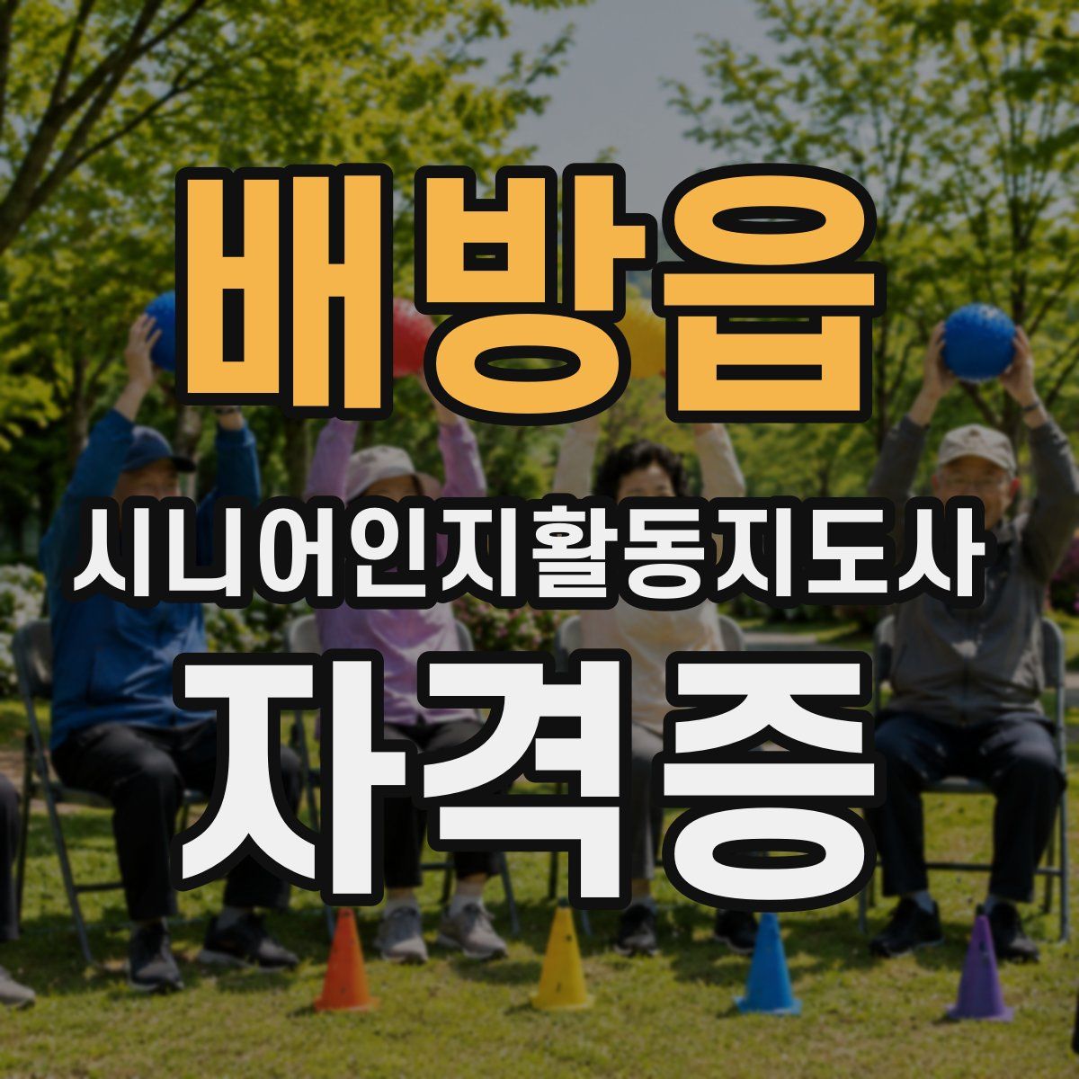 배방읍 시니어인지활동지도사 자격증