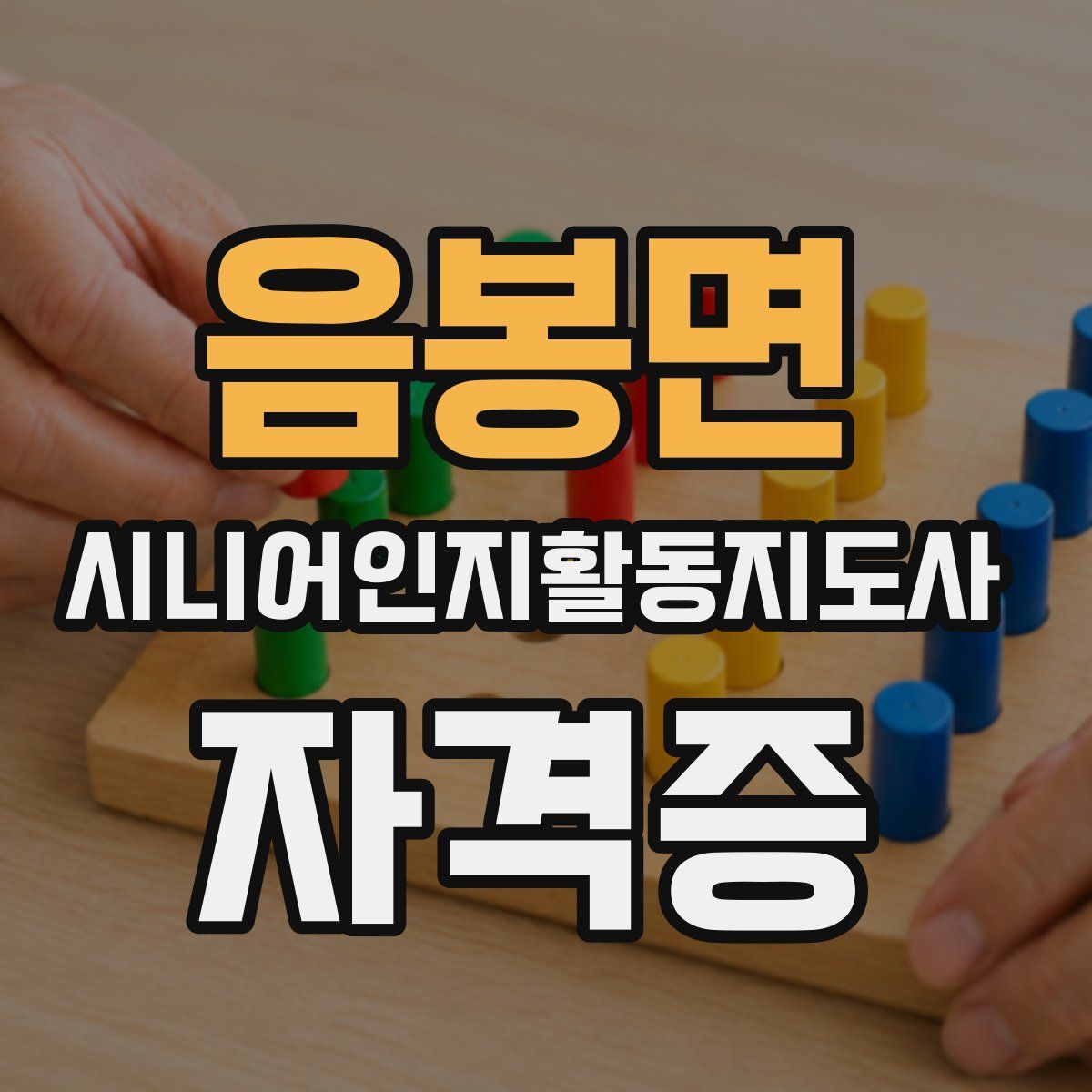 음봉면 시니어인지활동지도사 자격증