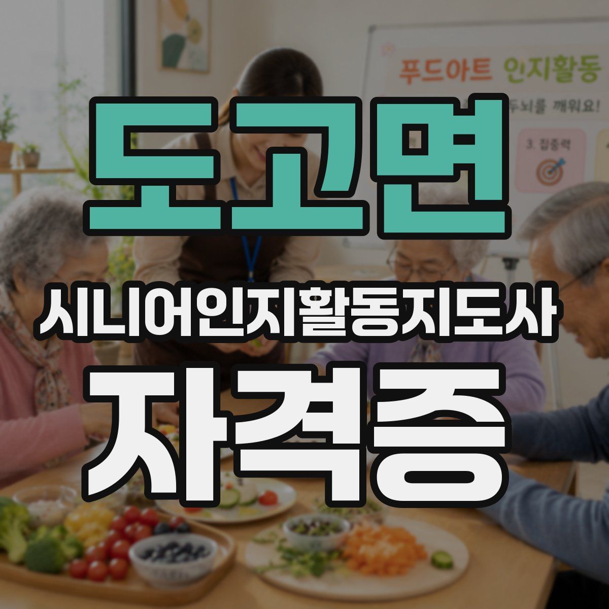 도고면 시니어인지활동지도사 자격증