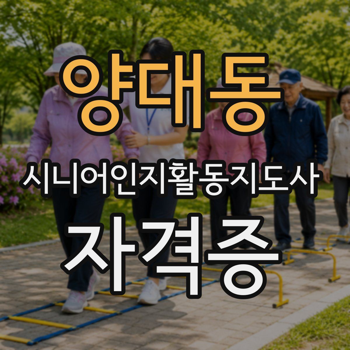 양대동 시니어인지활동지도사 자격증