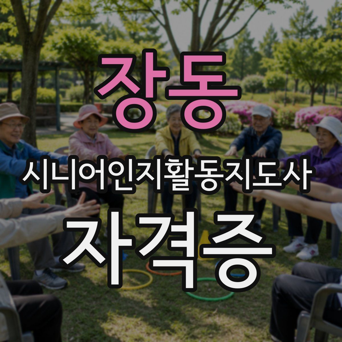 장동 시니어인지활동지도사 자격증