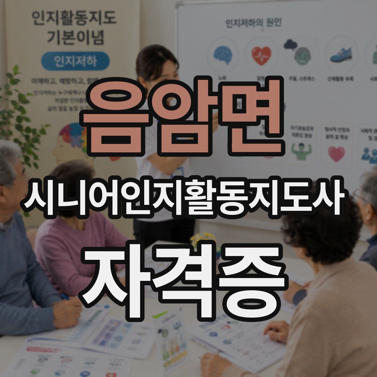 음암면 시니어인지활동지도사 자격증