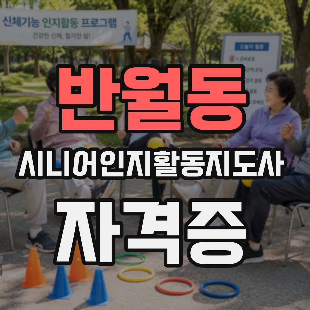 반월동 시니어인지활동지도사 자격증