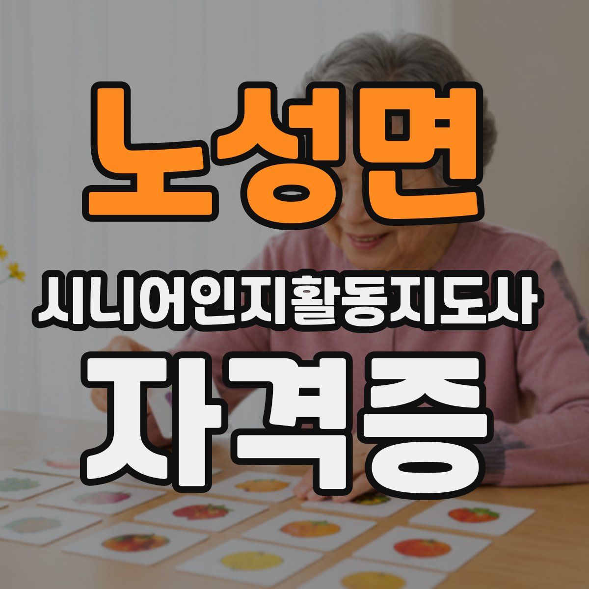 노성면 시니어인지활동지도사 자격증
