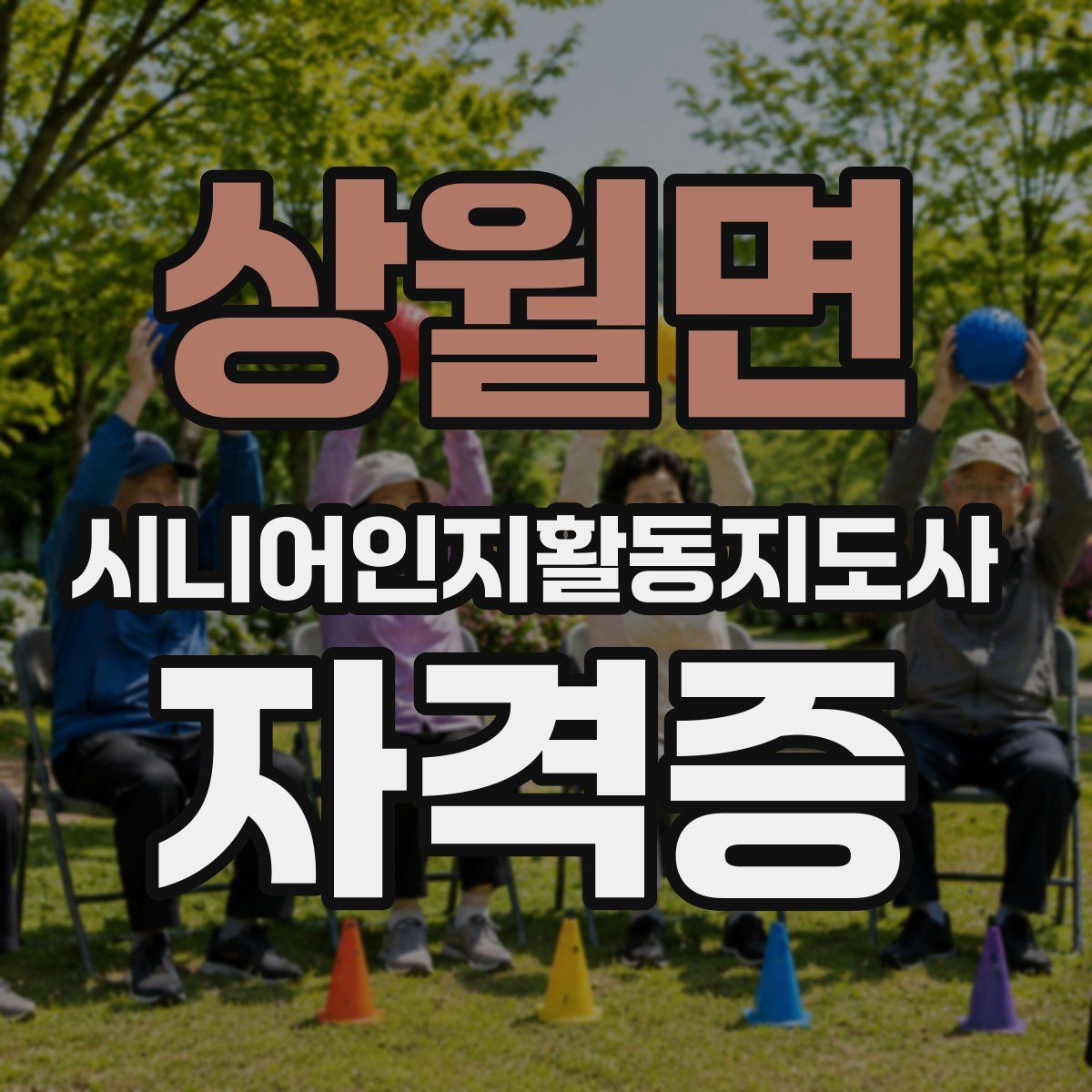 상월면 시니어인지활동지도사 자격증